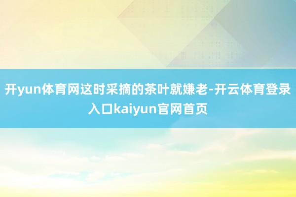 开yun体育网这时采摘的茶叶就嫌老-开云体育登录入口kaiyun官网首页