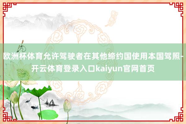 欧洲杯体育允许驾驶者在其他缔约国使用本国驾照-开云体育登录入口kaiyun官网首页