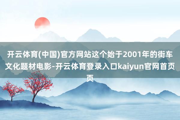 开云体育(中国)官方网站这个始于2001年的街车文化题材电影-开云体育登录入口kaiyun官网首页