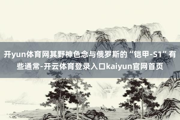 开yun体育网其野神色念与俄罗斯的“铠甲-S1”有些通常-开云体育登录入口kaiyun官网首页