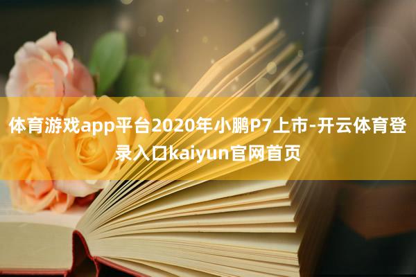 体育游戏app平台2020年小鹏P7上市-开云体育登录入口kaiyun官网首页