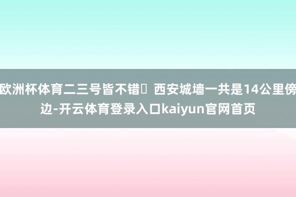 欧洲杯体育二三号皆不错✅西安城墙一共是14公里傍边-开云体育登录入口kaiyun官网首页