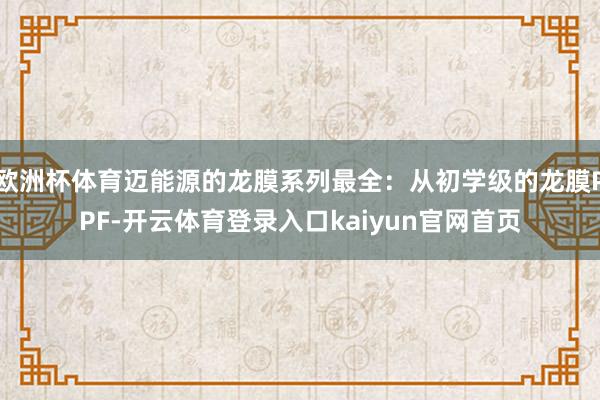 欧洲杯体育迈能源的龙膜系列最全：从初学级的龙膜PPF-开云体育登录入口kaiyun官网首页