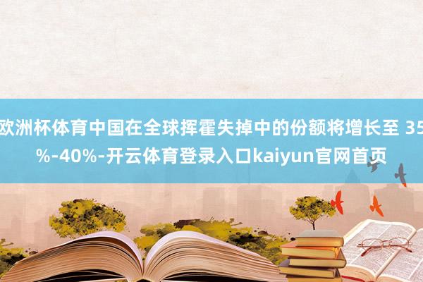 欧洲杯体育中国在全球挥霍失掉中的份额将增长至 35%-40%-开云体育登录入口kaiyun官网首页