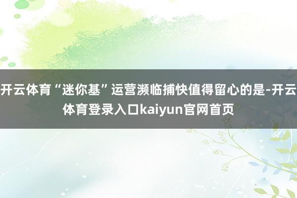 开云体育“迷你基”运营濒临捕快值得留心的是-开云体育登录入口kaiyun官网首页