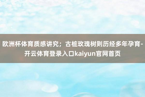 欧洲杯体育质感讲究；古桩玫瑰树则历经多年孕育-开云体育登录入口kaiyun官网首页