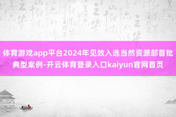 体育游戏app平台2024年见效入选当然资源部首批典型案例-开云体育登录入口kaiyun官网首页