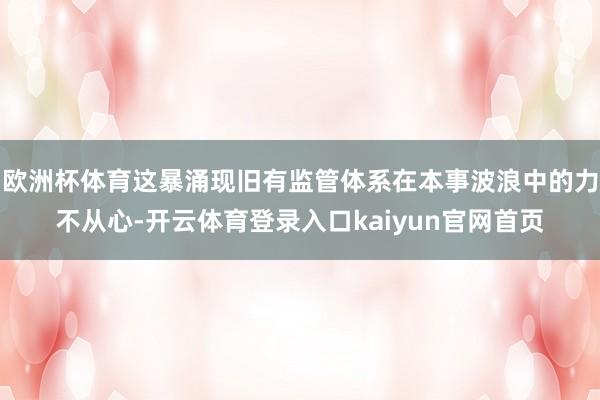 欧洲杯体育这暴涌现旧有监管体系在本事波浪中的力不从心-开云体育登录入口kaiyun官网首页